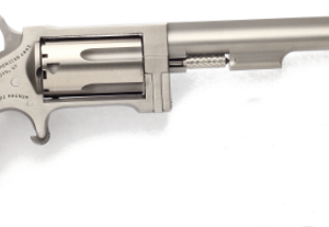 NORTH AMERICAN ARMS SIDEWINDER 22MAG 4" SS #