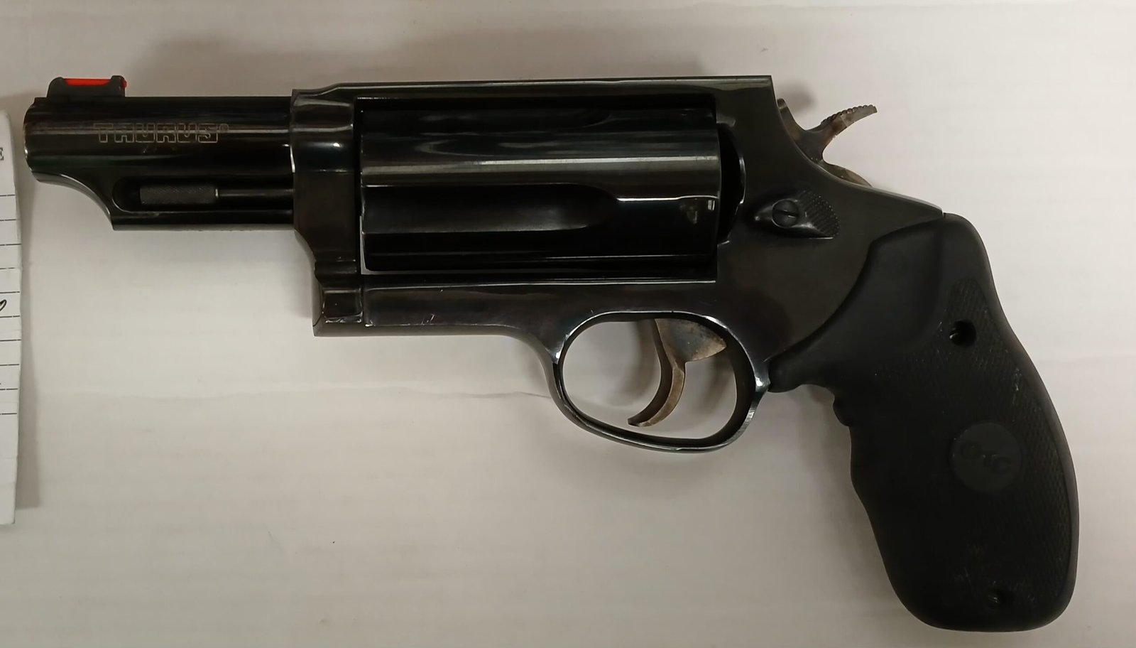 Taurus Judge