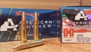 Hornady 300 Blackout American Gunner H80897 125 gr JHP 50 rounds