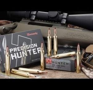 Hornady 243 Win Ammunition Precision Hunter 80462 90 Grain ELD-X 20 Rounds