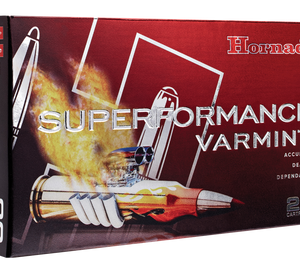 Hornady 204 Ruger Ammunition Superformance Varmint 83209 24 Grain NTX Ballistic Tip 20 Rounds