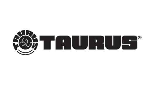 TAURUS GX4 9MM GRAY/TUNGSTEN 11+1   #