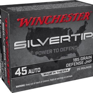 Winchester 45 Auto Ammunition W45AST 185 Grain ST Hollow Point SX 20 Rounds