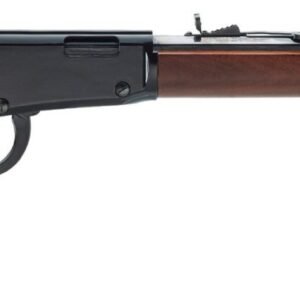 HENRY REPEATING ARMS H1 FRONTIER 17HMR BL/WD 20"