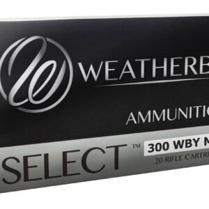 WEATHERBY 300WBY 180GR HDY INTERLOCK
