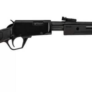 ROSSI GALLERY 22LR BK/SYN 18" 15+1 #