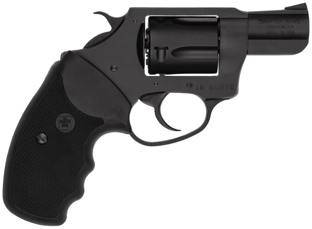 CHARTER ARMS UNDERCOVER 38SPC BL 2"