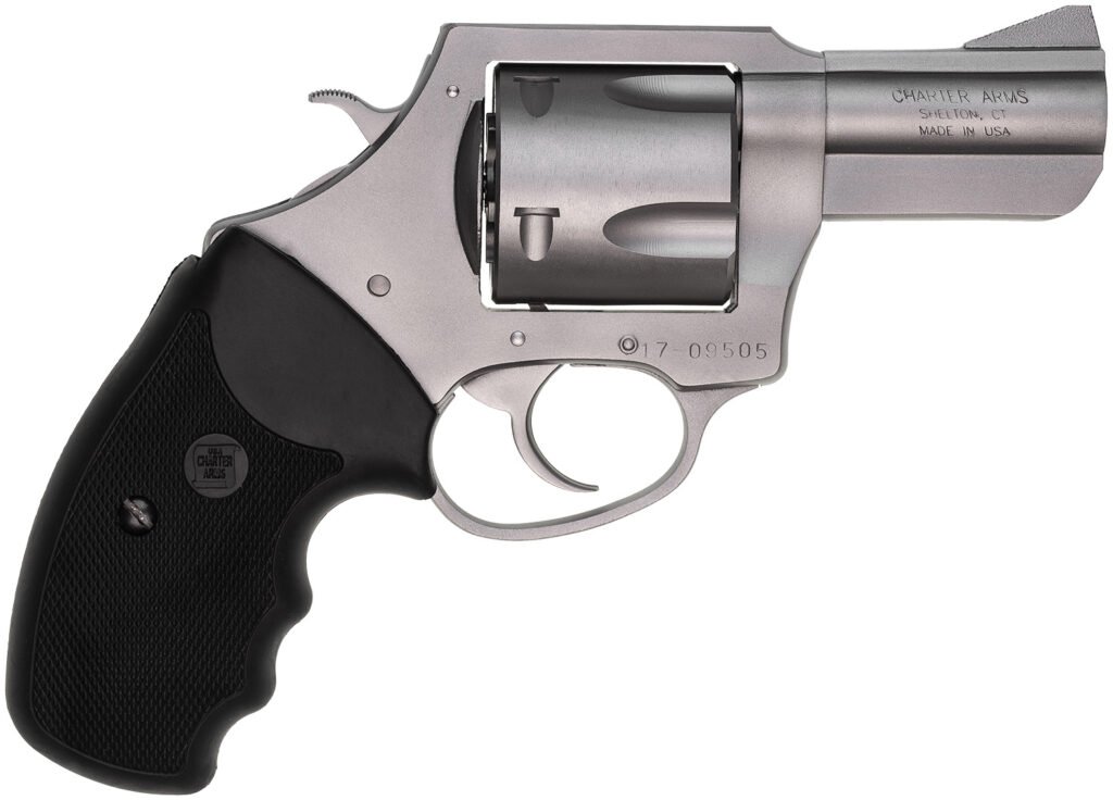 CHARTER ARMS CHARTER PITBULL 45ACP SS 2.5"
