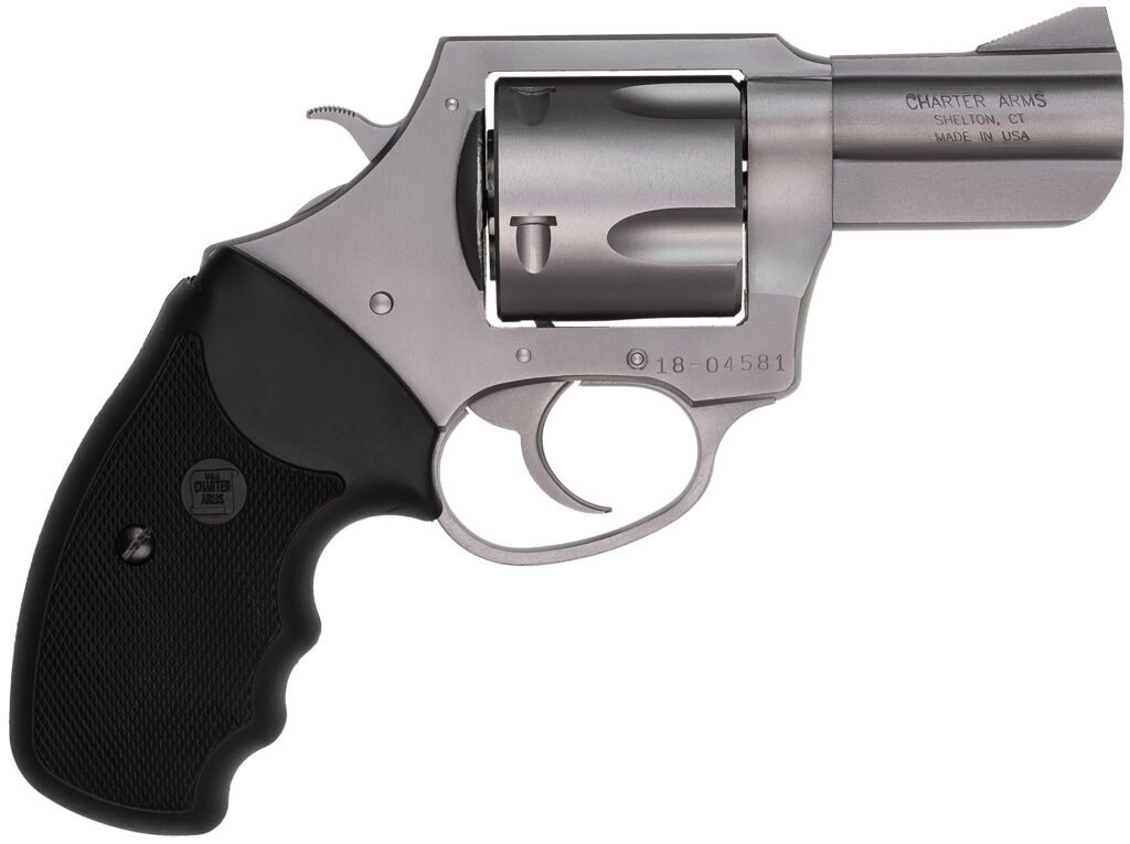 CHARTER ARMS BULLDOG 45LC STAINLESS 2.5"