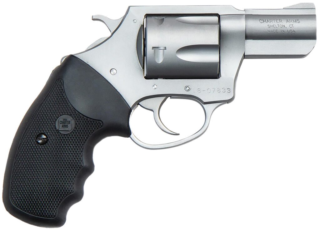 CHARTER ARMS CHARTER PITBULL 9MM SS 2" FS