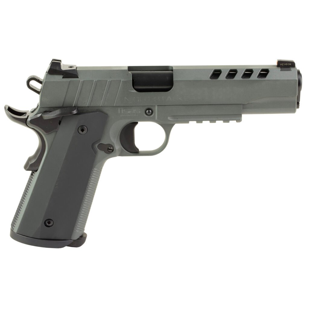 TISAS 1911 NIGHT STALKER GRY 10MM  #