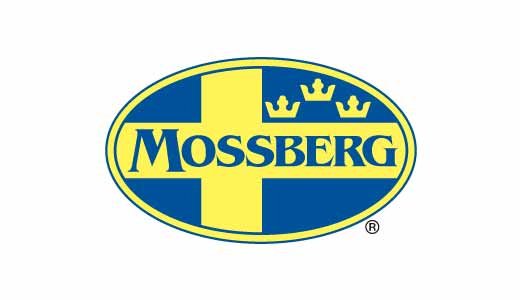 MOSSBERG PATRIOT 243WIN BL/SS 22" TB #