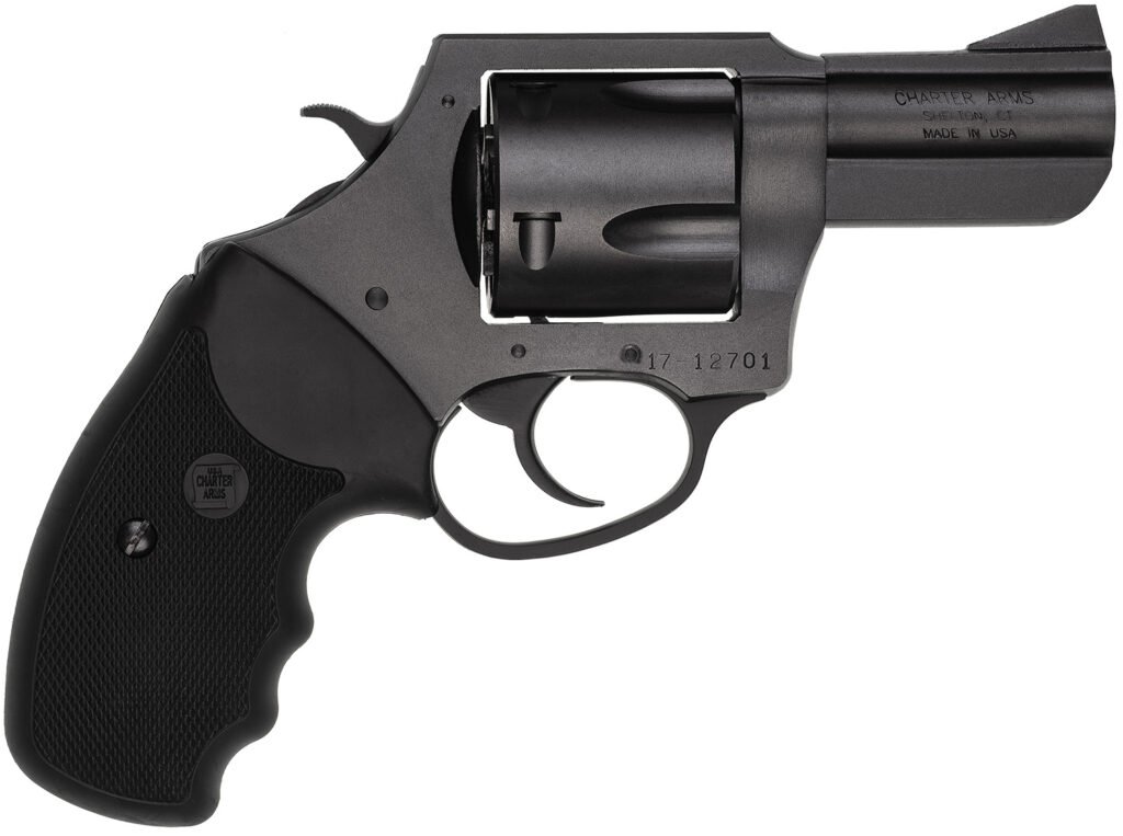 CHARTER ARMS CHARTER PITBULL 45ACP NIT 2.5"